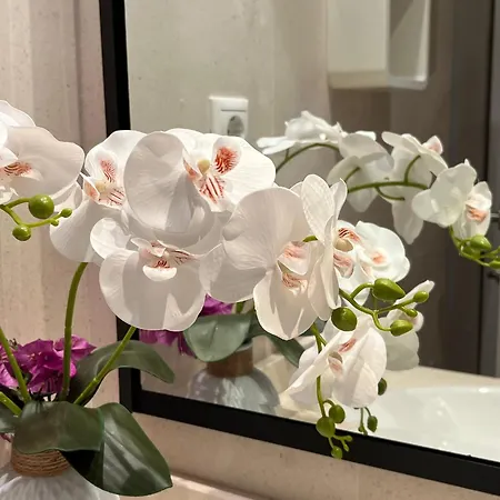 דירה Oasis Cala Alta New 120qm Free Parking, Pool, 2 Bath, 3bdr, Wi-fi, Air-condit *
